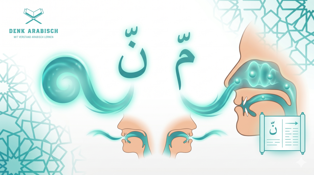النون والميم المشددتان – الدليل الكامل لأحكام التجويد 1 النون والميم المشددتان