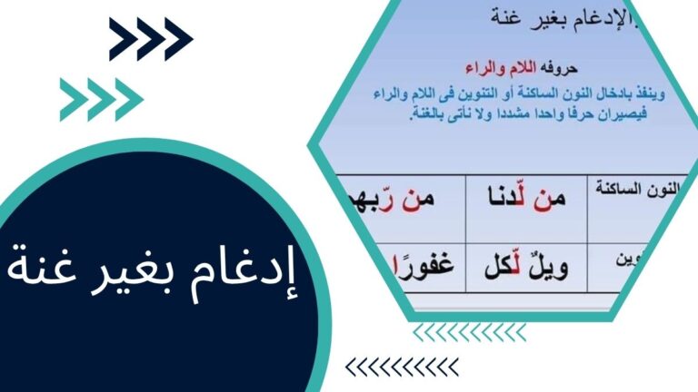 إدغام بغير غنة – دليلك في التجويد