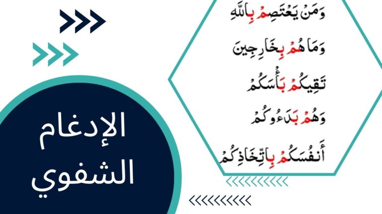 الإدغام الشفوي – الدليل الشامل للتجويد